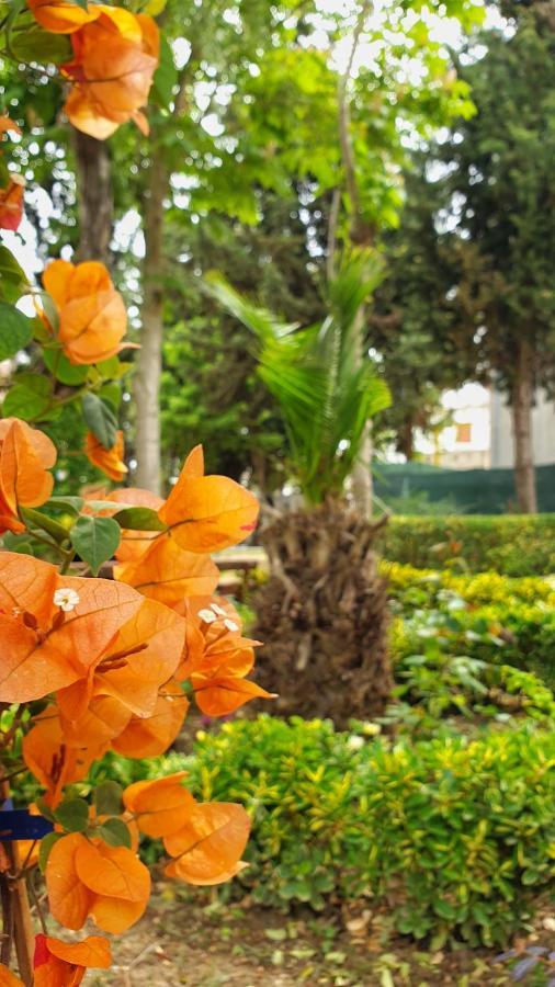 Vila Gridi- Apartamente me Qera Spille Esterno foto